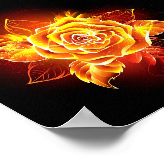 Poster Blooming Fire Rose (Coin)