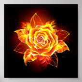 Poster Blooming Fire Rose (Devant)