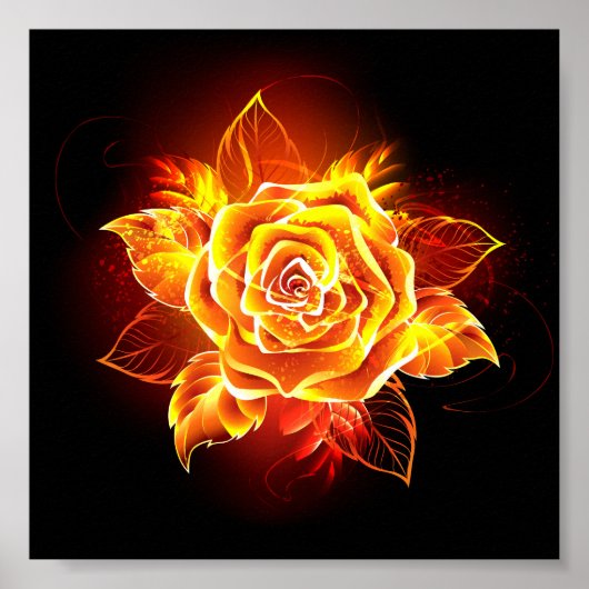 Poster Blooming Fire Rose (Devant)