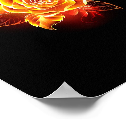 Poster Blooming Fire Rose (Coin)