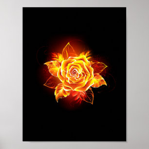 Poster Blooming Fire Rose