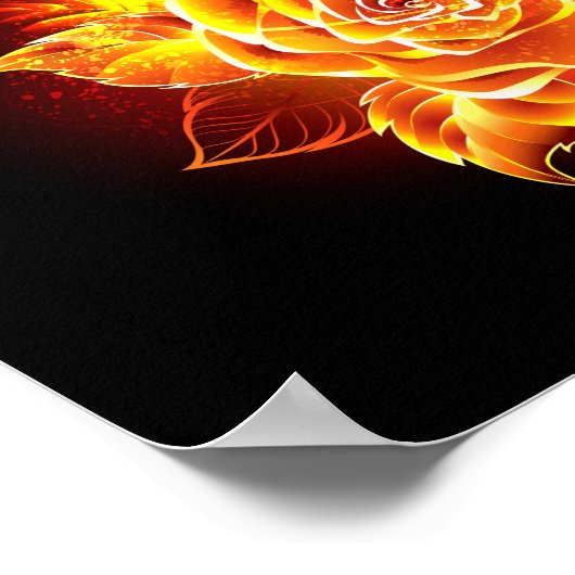 Poster Blooming Fire Rose (Coin)