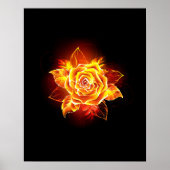 Poster Blooming Fire Rose (Devant)