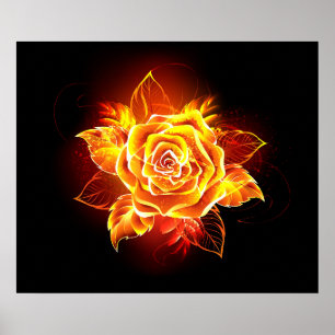 Poster Blooming Fire Rose