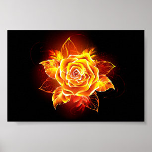 Poster Blooming Fire Rose