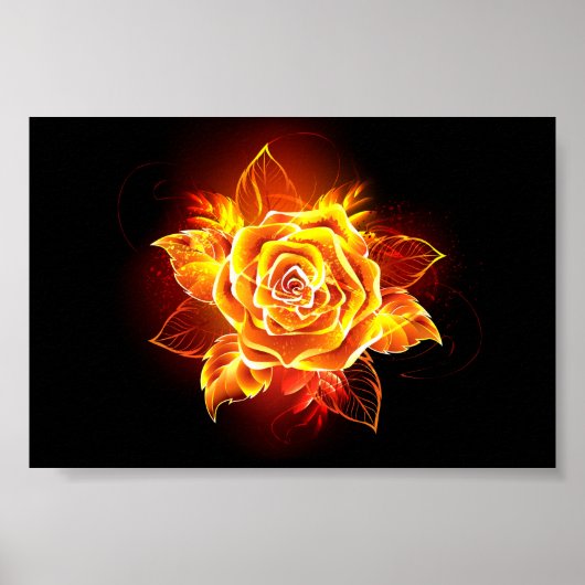 Poster Blooming Fire Rose (Devant)