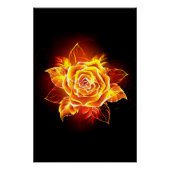 Poster Blooming Fire Rose (Devant)