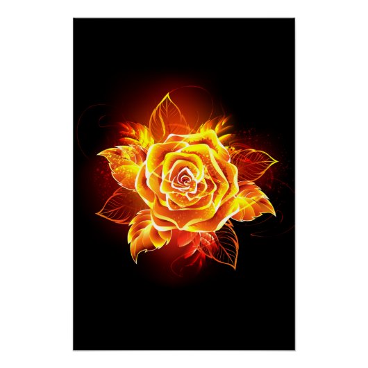 Poster Blooming Fire Rose (Devant)