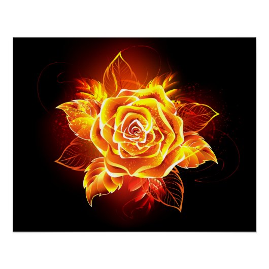 Poster Blooming Fire Rose (Devant)