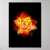 Poster Blooming Fire Rose (Devant)