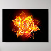Poster Blooming Fire Rose (Devant)