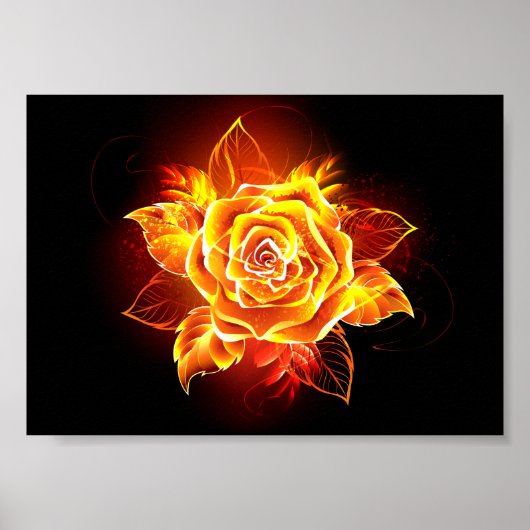 Poster Blooming Fire Rose (Devant)