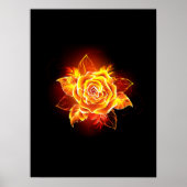 Poster Blooming Fire Rose (Devant)