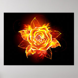 Poster Blooming Fire Rose