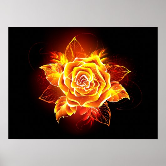 Poster Blooming Fire Rose (Devant)