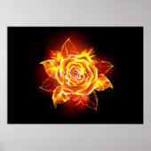 Poster Blooming Fire Rose (Devant)