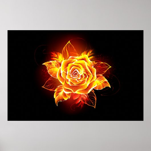 Poster Blooming Fire Rose (Devant)