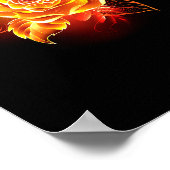 Poster Blooming Fire Rose (Coin)