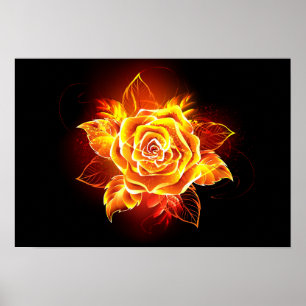 Poster Blooming Fire Rose