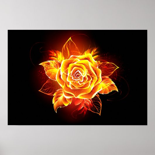 Poster Blooming Fire Rose (Devant)