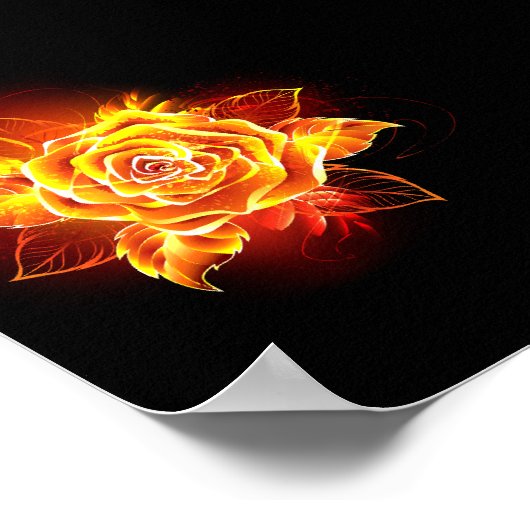Poster Blooming Fire Rose (Coin)