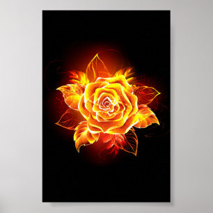 Poster Blooming Fire Rose