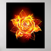 Poster Blooming Fire Rose (Devant)