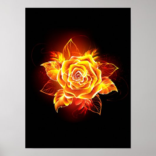 Poster Blooming Fire Rose (Devant)
