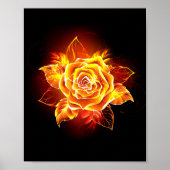 Poster Blooming Fire Rose (Devant)