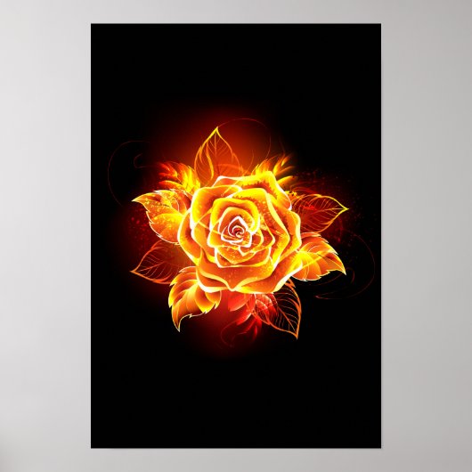 Poster Blooming Fire Rose (Devant)