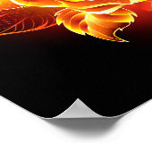 Poster Blooming Fire Rose (Coin)