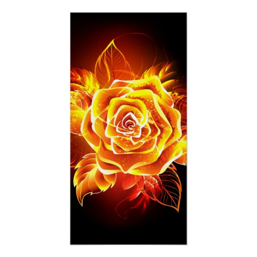 Poster Blooming Fire Rose (Devant)
