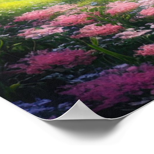 Poster Blooms enchantés : Une Vallée Magique (Coin)