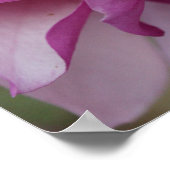 Poster Blooms pourpres (Coin)