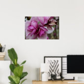 Poster Blooms pourpres (Bureau à domicile)