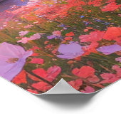 Poster Blossom Hill (Coin)