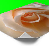 Poster Blossom rose - Gros plan (Coin)