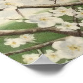 Poster Blossom Springtime Blackthorn Sloe (Coin)