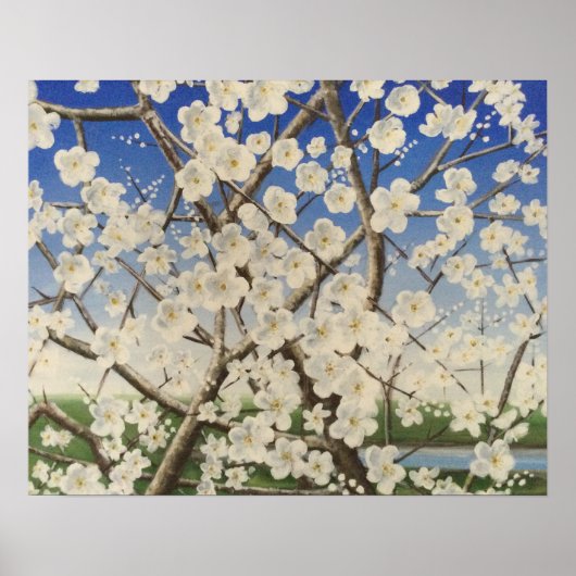 Poster Blossom Springtime Blackthorn Sloe (Devant)