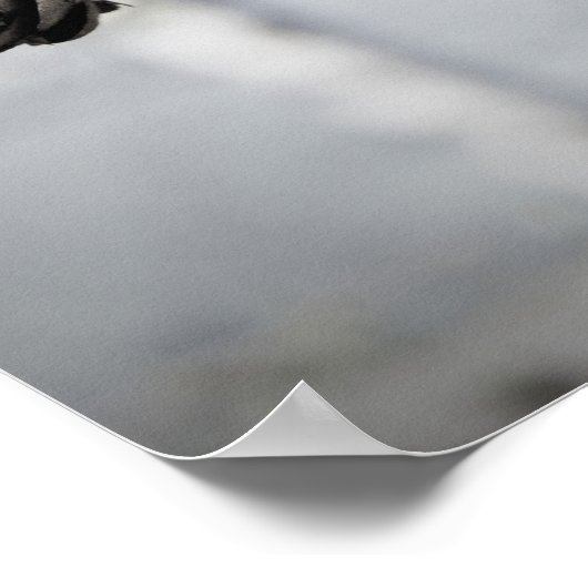 Poster Blossom Tree (Coin)