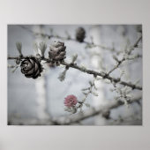 Poster Blossom Tree (Devant)