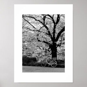 Poster Blossom & Vélo : Japon
