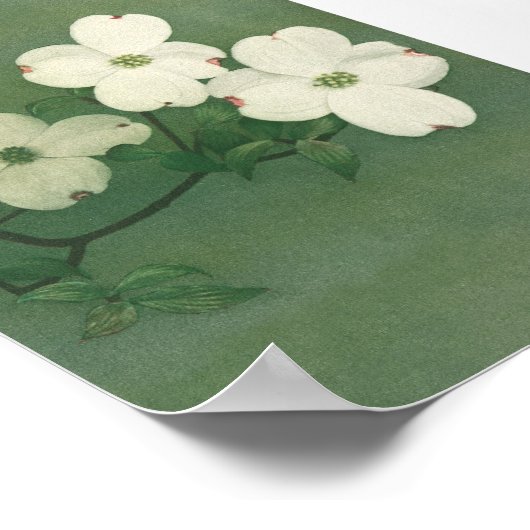 Poster Blossom vintage (Coin)