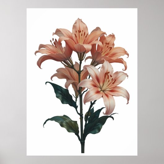 Poster Blossoming Lilies in Harmonious Elegance (Devant)
