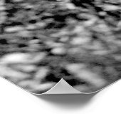 Poster Blossoms 2 (Coin)