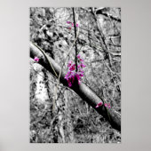 Poster Blossoms 2 (Devant)