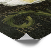 Poster Blossoms blancs et Feuille (Coin)