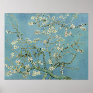Poster Blossoms d'amandes par Vincent Van Gogh