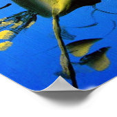 POSTER BLOSSOMS DE PRINTEMPS SUR BLEU (Coin)