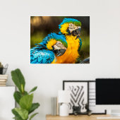 Poster Blue and Gold Macaw Tropical Parrots Print Art (Bureau à domicile)